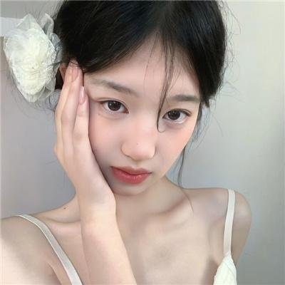 树袋熊